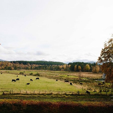 The Dell Of Abernethy - A Woodland Hideaway Apartment Nethy Bridge Exterior photo