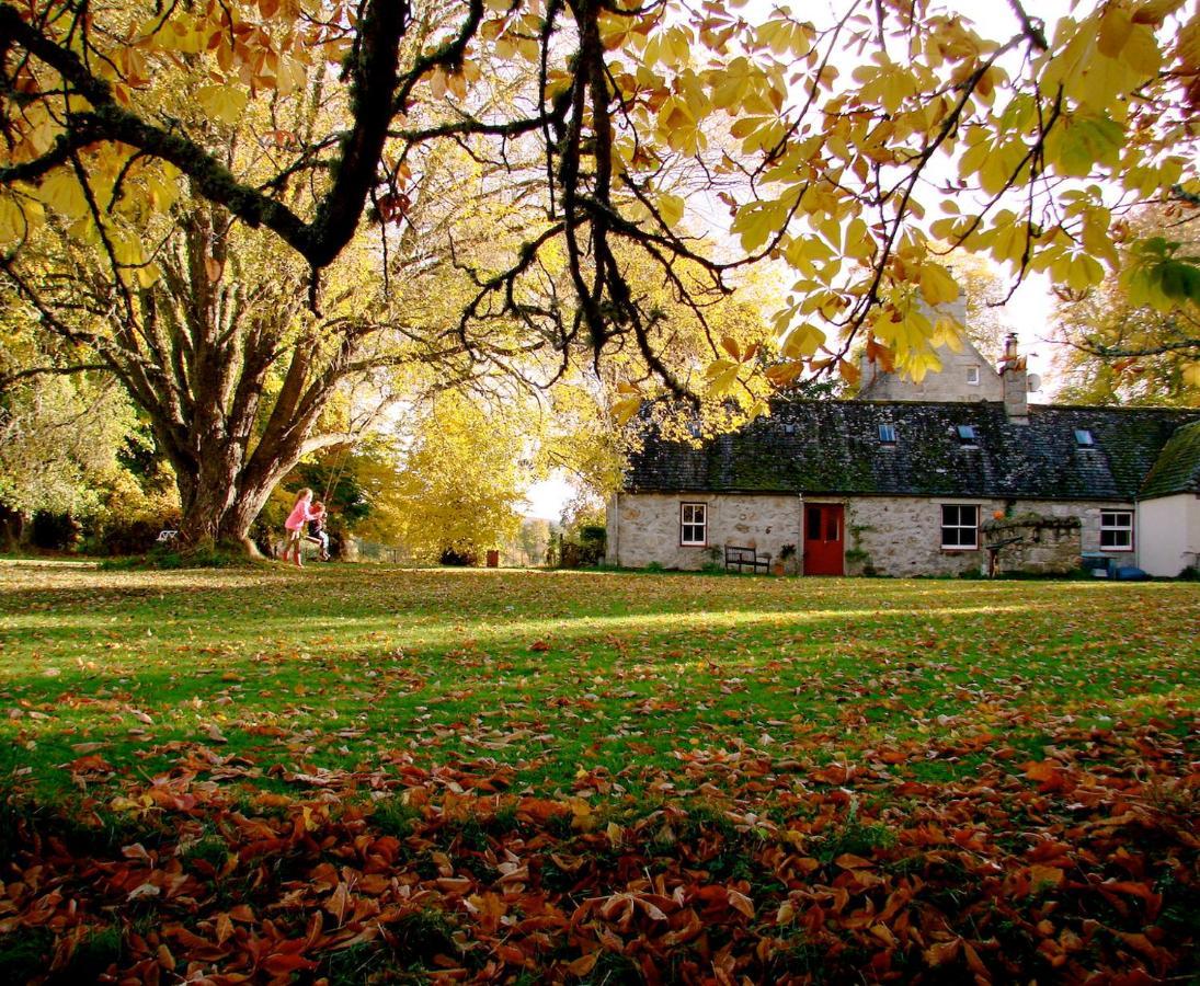 The Dell Of Abernethy - A Woodland Hideaway Apartment Nethy Bridge Exterior photo