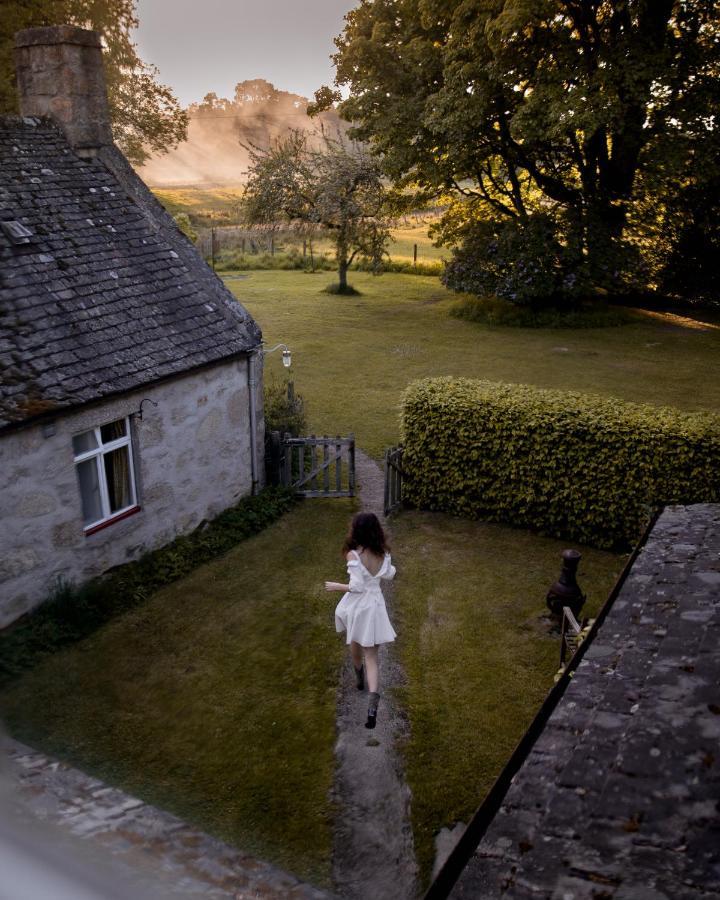 The Dell Of Abernethy - A Woodland Hideaway Apartment Nethy Bridge Exterior photo